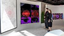 LG OLED evo、世界3大アートフェアで「NFT作品」披露