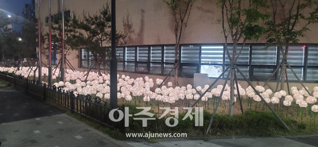 시흥시​, 마을을 아름답게 밝히는 LED 수국꽃밭 조성 인기