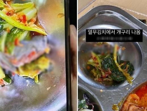 [아주 돋보기] 점심 반찬서 개구리 나와…급식 시스템 도마 위에 