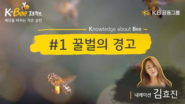 꿀벌에 진심인 KB금융, 환경의날 맞아 꿀벌의 경고 영상 공개