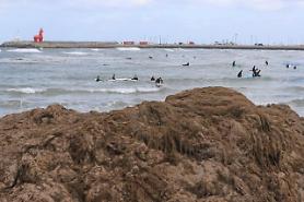 State project launched to develop biodegradable marine bioplastic materials using seaweed 