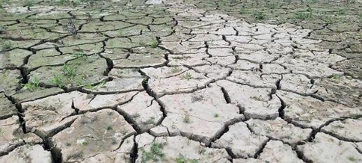 韩国遭遇严重干旱多地水库见底 农民无奈对天祈雨