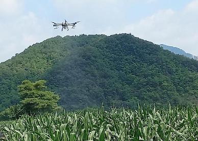 Pest control drone demonstrated on corn field in northeastern county