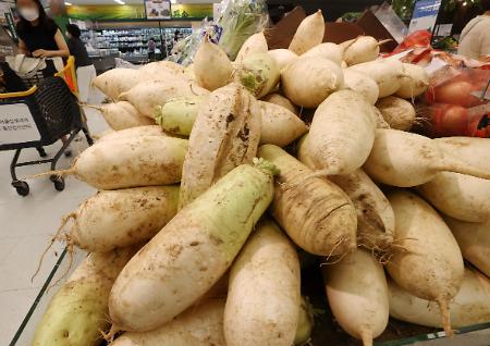 暴雨袭韩国萝卜价格上涨为26.5%