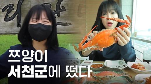 [영상] 인기 유튜버 쯔양, 서천에 떴다