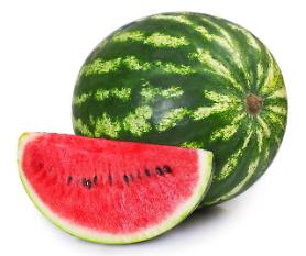 Research center succeeds in vertical cultivation method for watermelons 