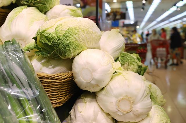 白菜成“金菜”批发价暴涨120% 韩政府：就涨到这周了