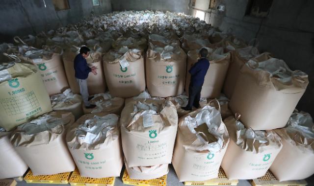당정, 금년 수확기 쌀 45만t 시장격리…역대 최대 규모