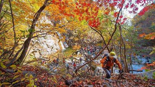 【亚洲人之声】在韩国登山赏枫，不忘安全第一