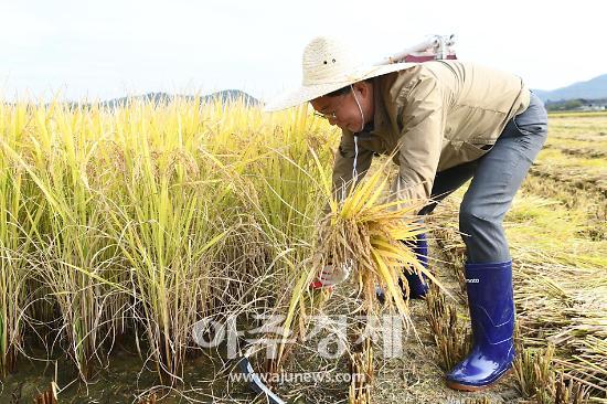 이민근 안산시장, "안산쌀 최고 품질로 시민들 사랑을 받을 수 있도록 노력해 나갈 것"