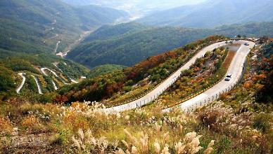만산홍엽(萬山紅葉)의 영천의 가을, 지금 만끽하세요