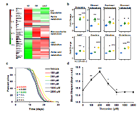 Amorepacific researchers uncover role of L-threonine amino acid in dietary restrictions