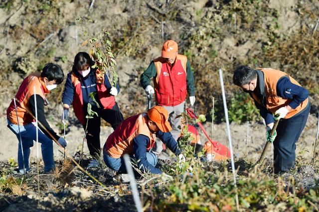 SK이노베이션 임직원, 울산 산불피해 지역에 나무 4000그루 심어