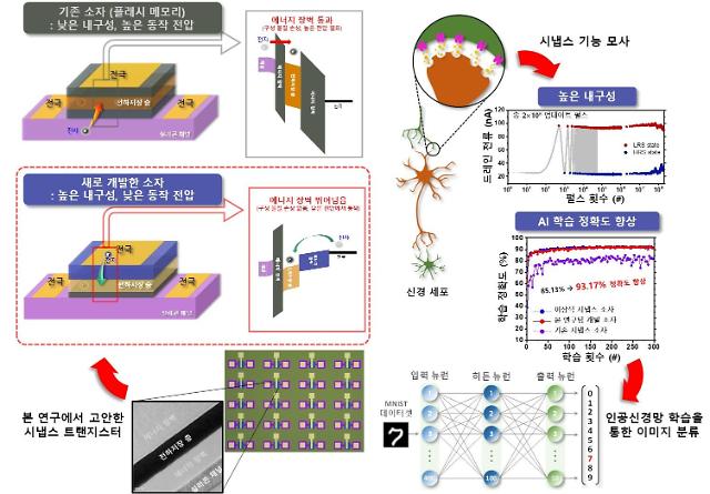 State institute develops highly stable synapse transistor for high-capacity data processing