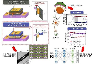State institute develops highly stable synapse transistor for high-capacity data processing