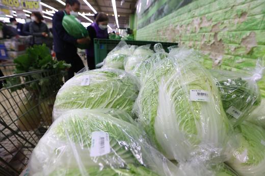 白菜跌成"白菜价" 韩国白菜价近1个月下跌37%
