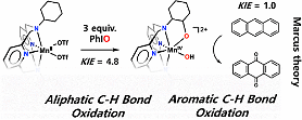 Researchers find key solution for development of catalyst for dissociation of toxic hydrocarbon