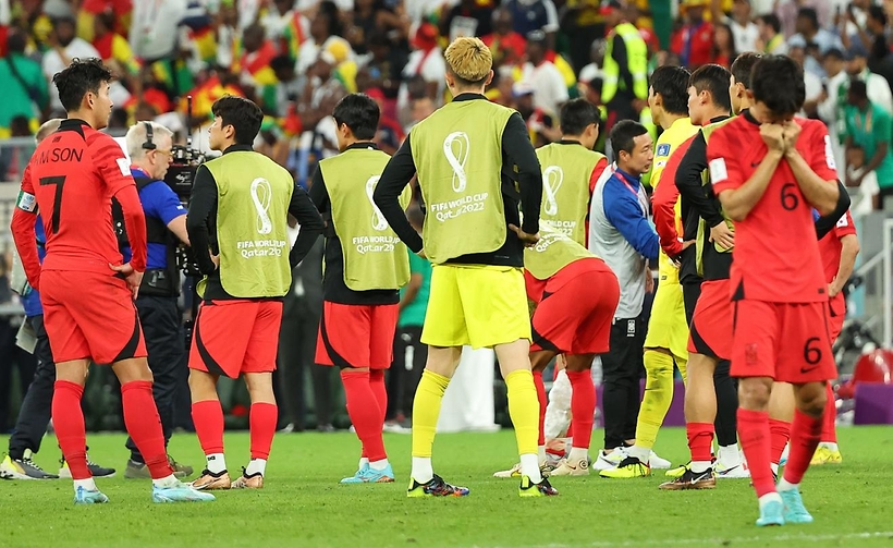 [슬라이드 뉴스｜카타르 월드컵] 잘싸웠는데...아쉬움 가득한 한국 대표팀