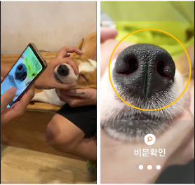 [INTERVIEW] iSciLab targets overseas clients after domestic release of nose-print identification service