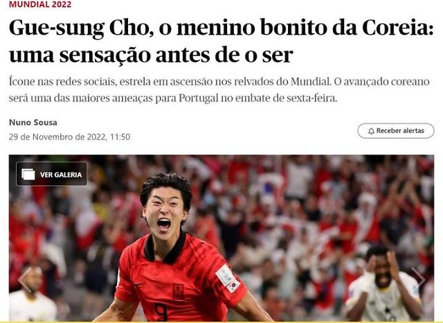 포르투갈 매체, 조규성 분석…SNS 아이콘·월드컵 스타로 떠올라