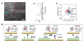 University research team develops highly stable long-life secondary battery materials for EVs and ESSs