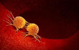 GI Cell partners with Japans Optieum Biotechnologies to commercialize CAR-NK cell products