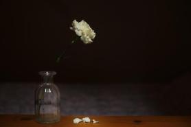 Số lượng cái chết cô độc tại Hàn Quốc có xu hướng tăng nhanh…↑40% chỉ trong 5 năm