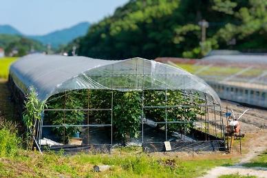 State agency localizes glasshouse plastic cover film to reduce reliance on Japanese products