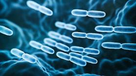 ​CKD Bio opens microbiome research center at university hospital to develop treatments for dementia