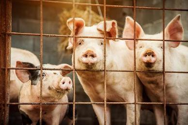 ​State wildlife disease control body finds African Swine Fever vaccine stock candidate effective