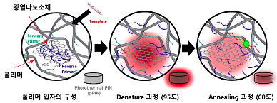 New five-minute PCR test technique developed using photothermal nanomaterial