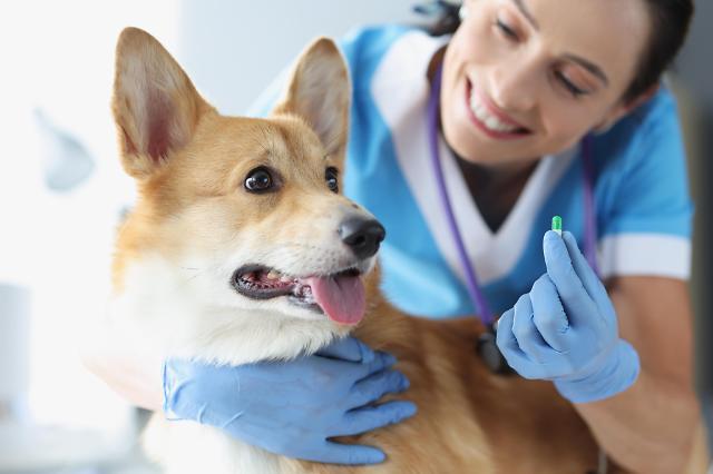 CMG Pharmaceutical acquires animal nutritional supplement developer targeting pet healthcare market