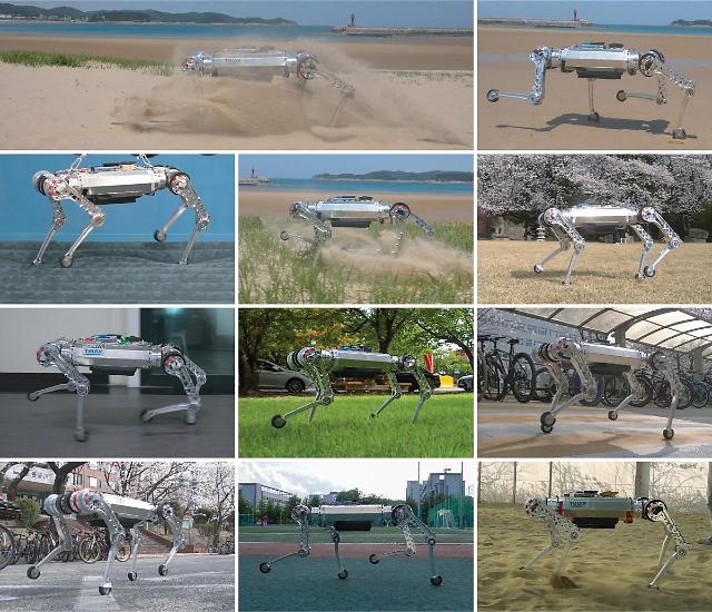 Researchers develop four-legged robot capable of swiftly traveling through sandy grounds