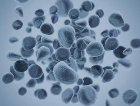 SK Plasma partners with Janssen Korea to supply cancer medication Dacogen in S. Korea