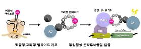 State institute develops novel drug development platform for cancer and dementia medicines