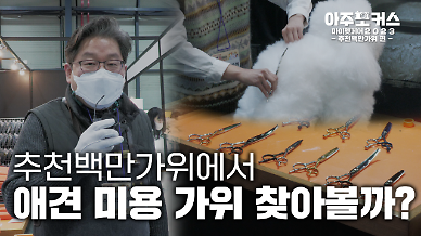 [2023 마이펫페어] 추천백만가위에서 애견 미용 가위 찾아볼까?