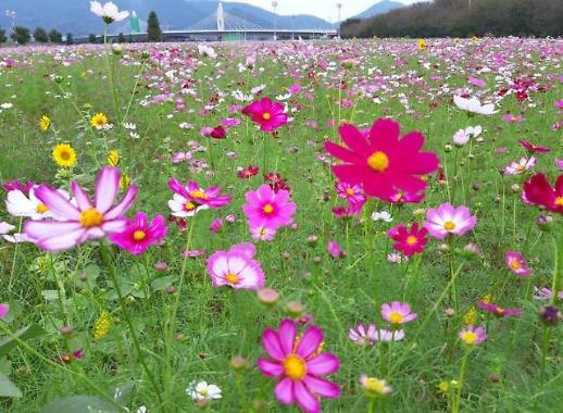밀양시 작은성장동력사업 더 큰 성장동력으로 발돋움