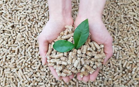 SGC Energy to convert Vietnams coal power plants to biomass-based generating facilities  