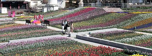 사진으로 돌아보는 3월 둘째주 포토뉴스 (3월 13~19일)