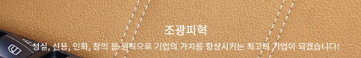 [단독] 오너일가 차명주식 논란⋯조광피혁, 국세청 칼끝에 섰다 