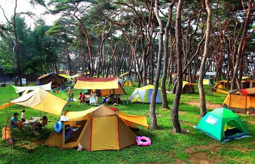 금강·100년 송림의 명품 휴양지 영동 송호관광지, 31일 야영장 개장