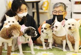 S. Korean pet supplies companies offer discount events on Puppy Day