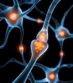 SK Biopharmaceuticals receive drug ministrys approval for clinical phase 3 trial plan for anti--epileptic drug