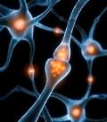 SK Biopharmaceuticals receive drug ministrys approval for clinical phase 3 trial plan for anti--epileptic drug