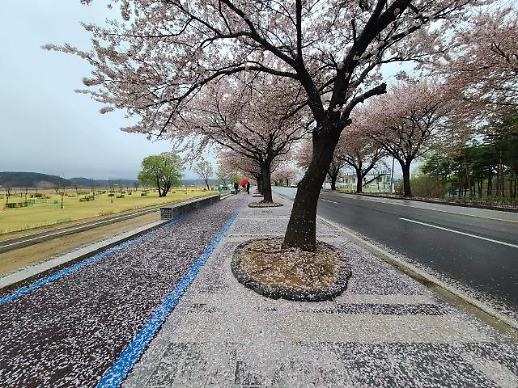 只道花无十日红 此花无日不春风 