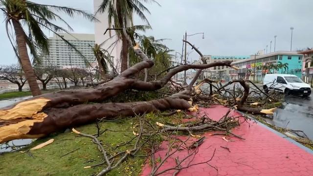 괌 휩쓴 '슈퍼 태풍'으로 거리에 쓰러진 나무들
    (투몬 만[미국] AFP=연합뉴스) 4등급 '슈퍼 태풍' 마와르가 태평양의 미국령 괌을 강타한 25일(현지시간) 나무들이 강풍에 꺾여 거리에 쓰러져 있다. 괌 당국은 이번 태풍으로 인한 인명 피해는 없으나 강풍과 폭우로 인한 단전·단수가 이어져 현지인과 관광객들이 큰 어려움을 겪고 있다고 전했다. 2023.05.26
    yerin4712@yna.co.kr/2023-05-26 08:45:11/
<저작권자 ⓒ 1980-2023 ㈜연합뉴스. 무단 전재 재배포 금지.>