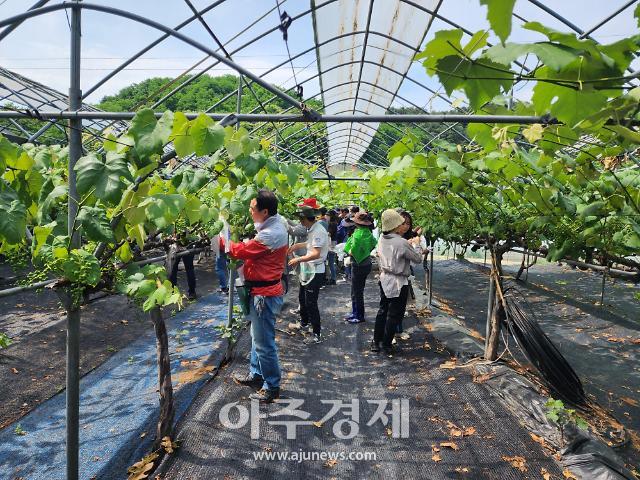 관계자들이 본격적인 농번기를 맞아 ‘범도민 1+1손돕기’ 계획에 동참하여 농촌 일손돕기 행사를 실시 하고 있다.