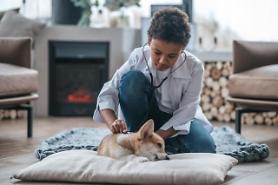 Pet healthcare company Daewoong Pet to develop anti-muscle loss material for animals