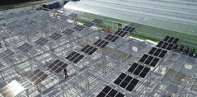 Hanwha Solutions showcases S. Koreas first solar module-based smart farm