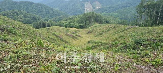 [사진=장수군]